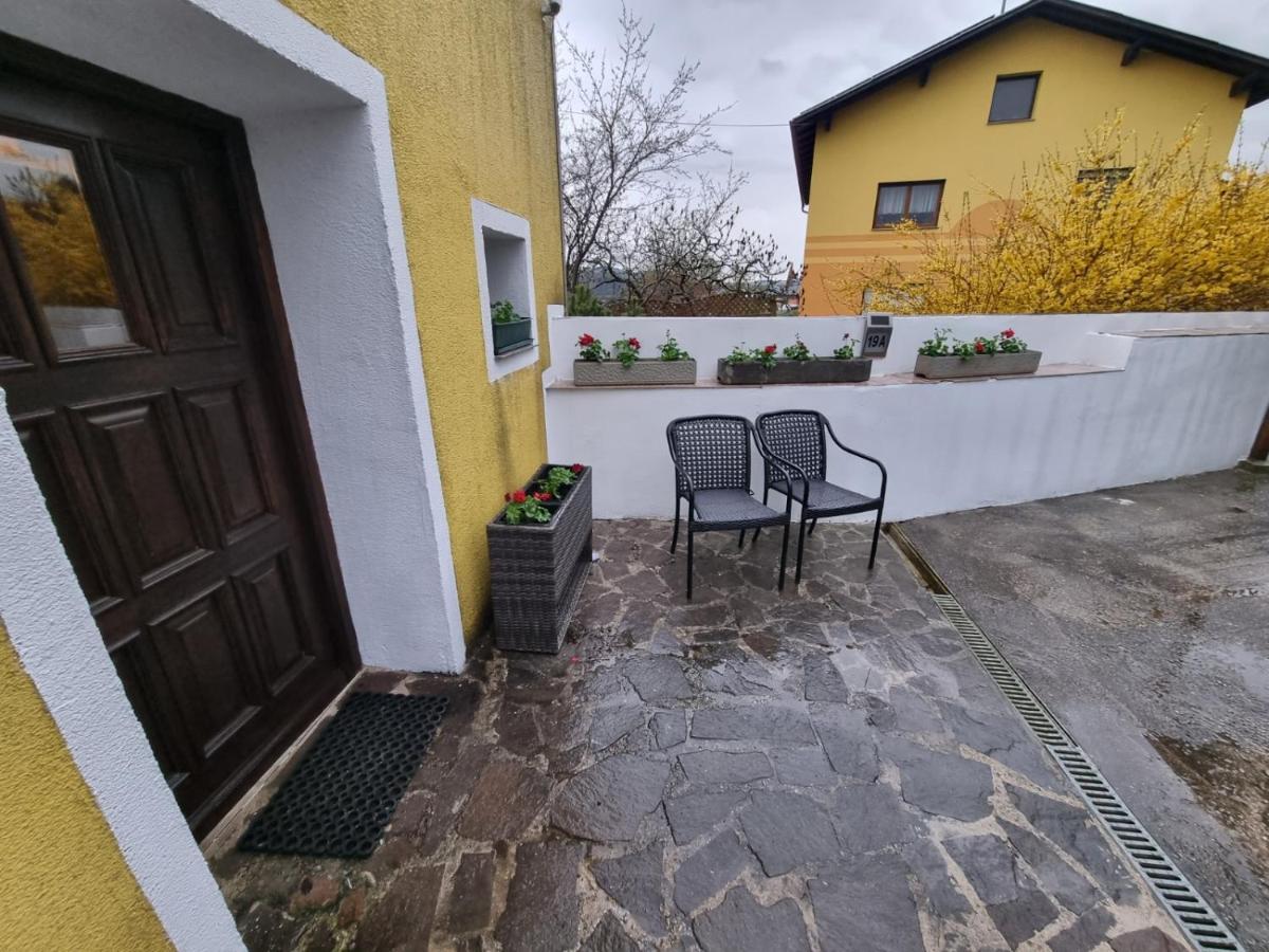 Pension Donaublick Grein 2 In Stifterstrasse 19A Eksteriør billede