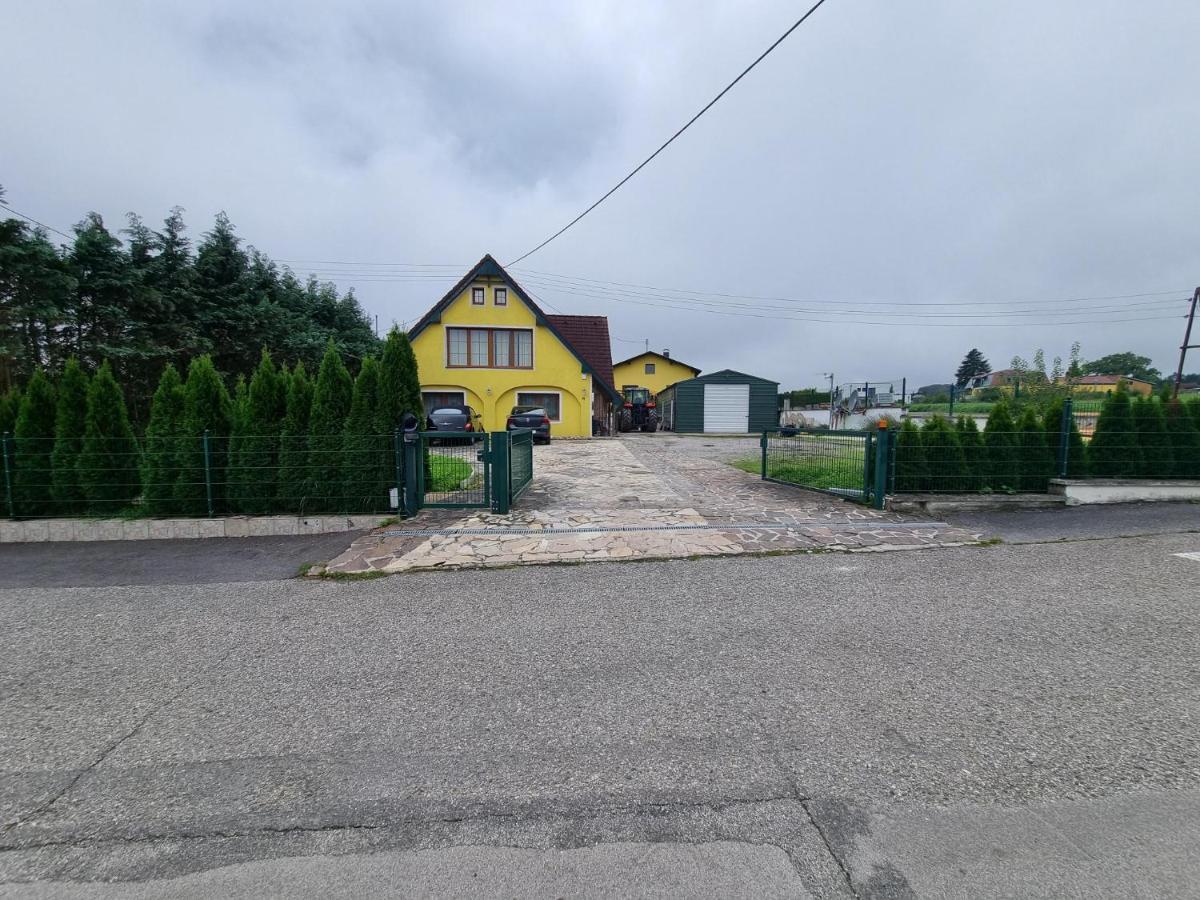 Pension Donaublick Grein 2 In Stifterstrasse 19A Eksteriør billede
