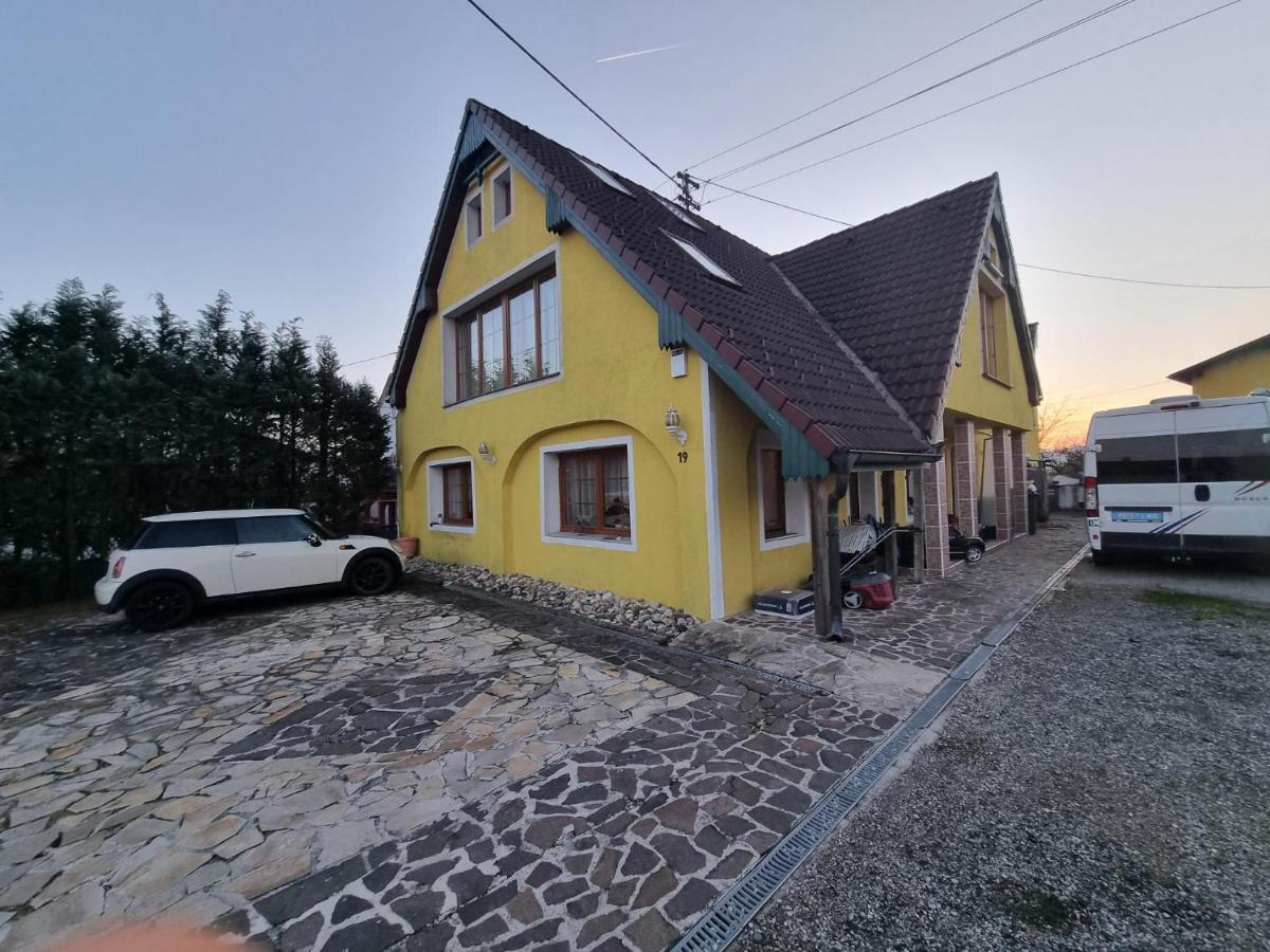 Pension Donaublick Grein 2 In Stifterstrasse 19A Eksteriør billede