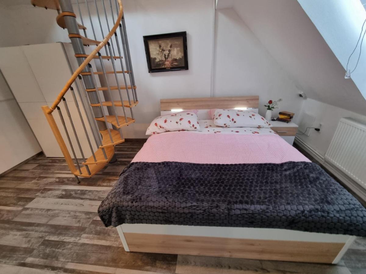 Pension Donaublick Grein 2 In Stifterstrasse 19A Eksteriør billede